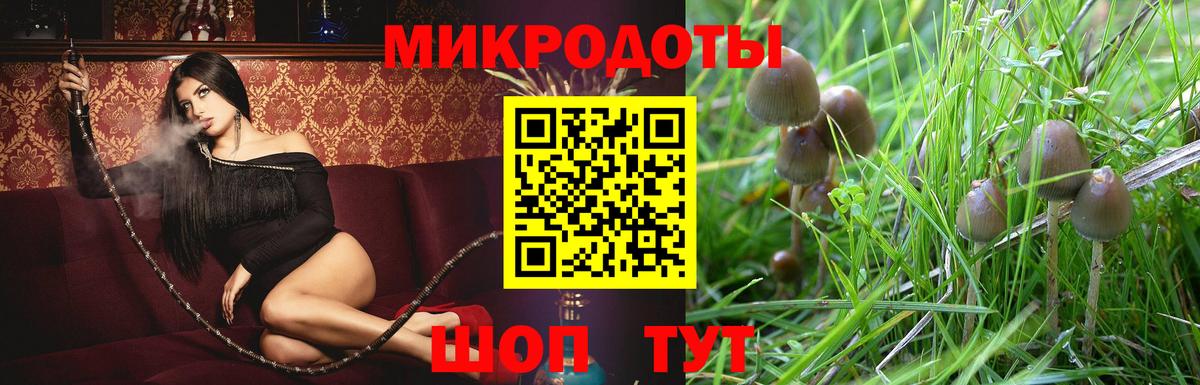 Ханты-Мансийск  Псилоцибиновые грибы MAGIC MUSHROOMS  Вход с VPN 